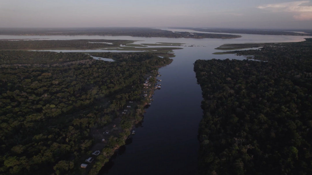 Biomas do Brasil e a Bioeconomia, Um Futuro Possível